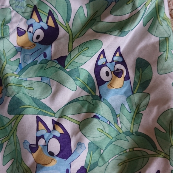 Bluey toddler boy Green swim Shorts SIZE 2T - Picture 2 of 9